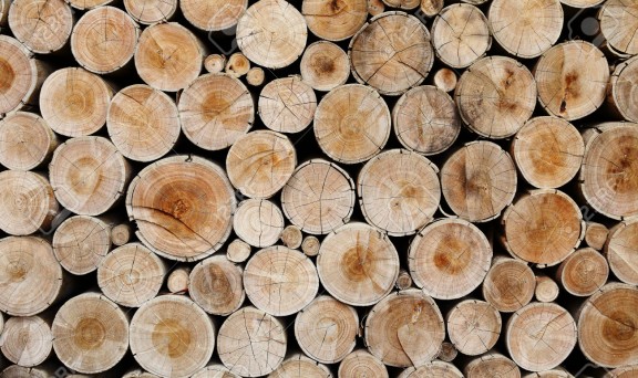 Wood